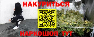 гашик Кунгур