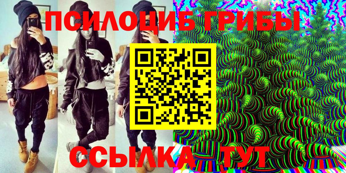 Псилоцибиновые грибы мицелий Ивантеевка