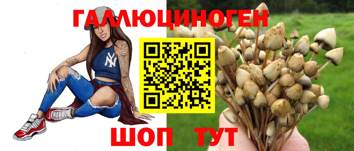 Галлюциногенные грибы ЛСД  Псилоцибиновые грибы GOLDEN TEACHER  Ивантеевка  Вход с VPN 